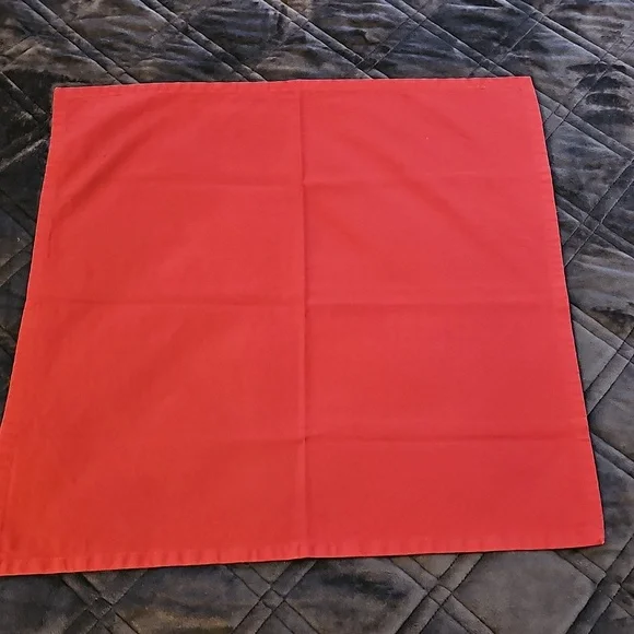 Linen Napkins - Picture 6 of 9